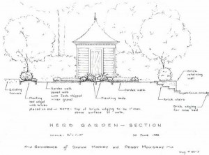 herb_garden_sketch