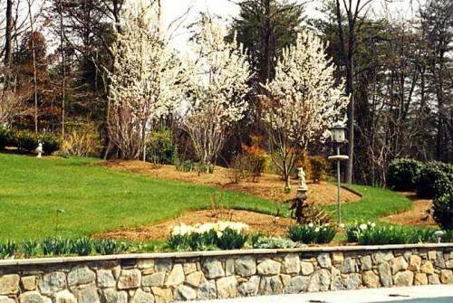 Mclean home in spring