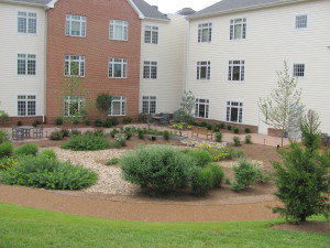 Dogwood Village Healing Garden View 2