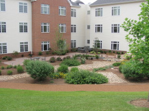 Dogwood Village Healing Garden View 1