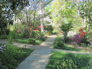 woodland garden walk image